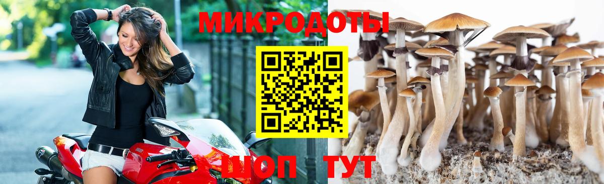 Гусев  Псилоцибиновые грибы ЛСД  Вход с VPN 
